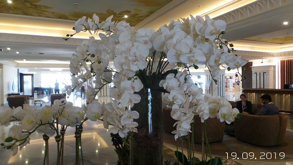 Nika - 23 �������� 2019 � 00:58 - 2