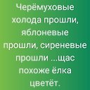 ���� ����, ������, 70 ��� - ��������� 25 ���� 2019 � ������ ���� ����������