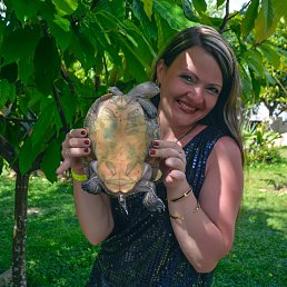 ���� ���������, 43 ����, �����-���������