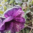  , , 50  -  4  2019   3.10.2019 