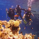 ���� Alex, ������, 46 ��� - ��������� 15 ��� 2019