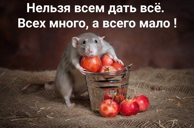 ***Victoria Viktorovna*** - 21  2019  13:27