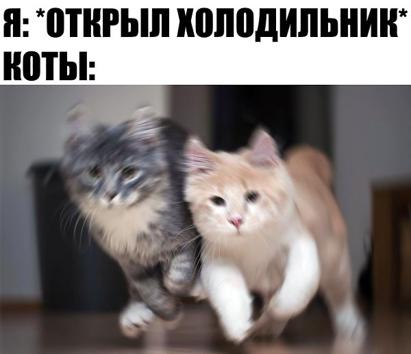 ������ �� ��� :D - 3 ������ 2020 � 18:27