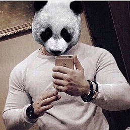 Boy Panda, 
