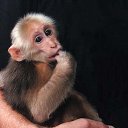 ���� �����, �������, 64 ���� - ��������� 11 ���� 2019 � ������ ������ ��������