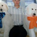 ���� �������, ������, 49 ��� - ��������� 16 ������� 2019