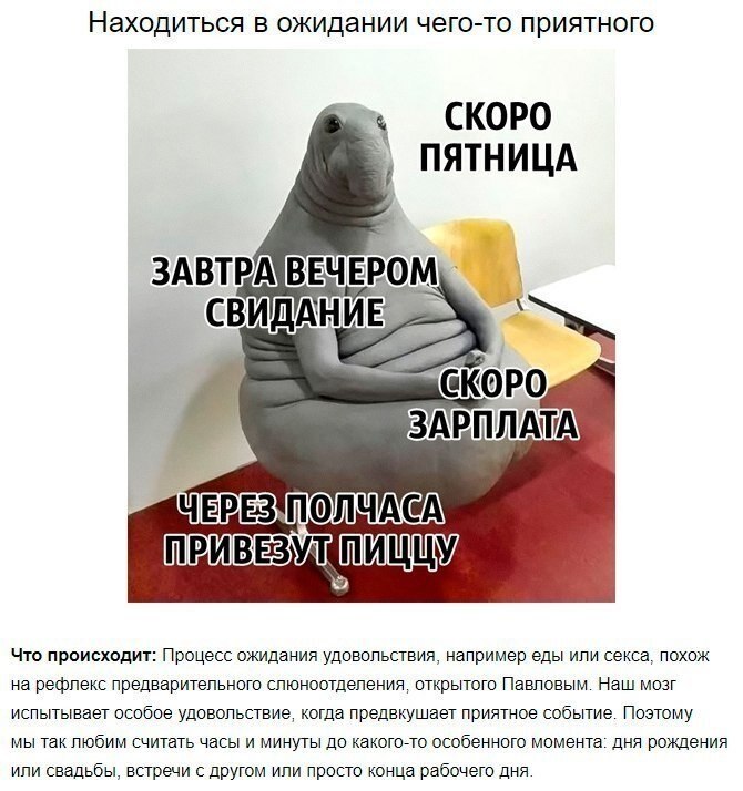   . - 5