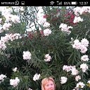 ���� �����, ������, 55 ��� - ��������� 27 ������� 2019 � ������ ���� ����������