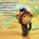 ���� ��������, �����������, 62 ���� - ��������� 29 ���� 2019 � ������ ������ ��������