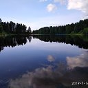 ���� ������, ������, 53 ���� - ��������� 31 ������� 2019 � ������ ���� ����������