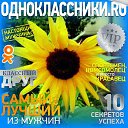 ���� ��������, ���������, 58 ��� - ��������� 7 ������� 2019