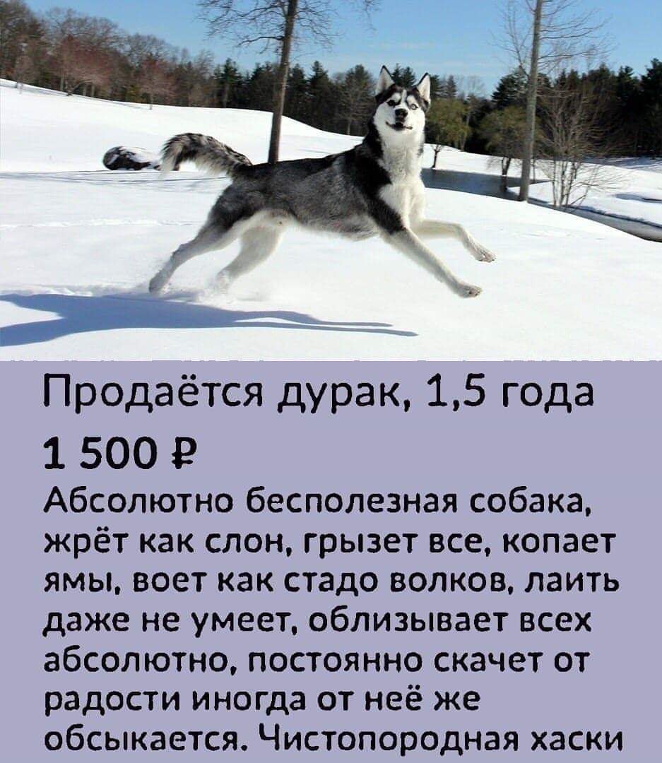 Anett - 12 ������� 2019 � 20:39