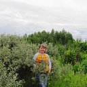 ���� ����, ������ - ��������� 2 ������� 2019 � ������ ���� ����������