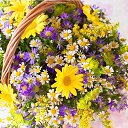 ���� �������, ����� - ��������� 17 ���� 2019 � ������ ���� ����������