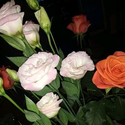 ���� Helen, ���� - ��������� 20 ������� 2019