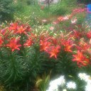 ���� �������, ������, 68 ��� - ��������� 17 ���� 2019 � ������ �2019�