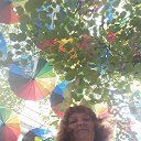  , , 37  -  2  2019   ))))))))