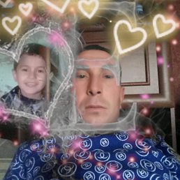 ���� �������, ����������, 44 ���� - ��������� 6 ������� 2019