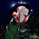 ���� ������, ������ - ��������� 24 ���� 2019 � ������ ���� ����������