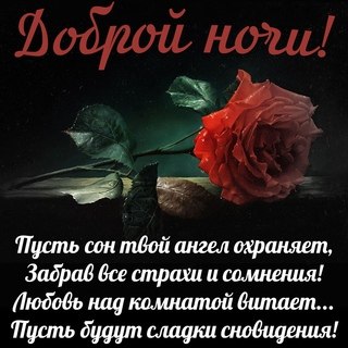 ���� - 10 ������� 2019 � 23:05