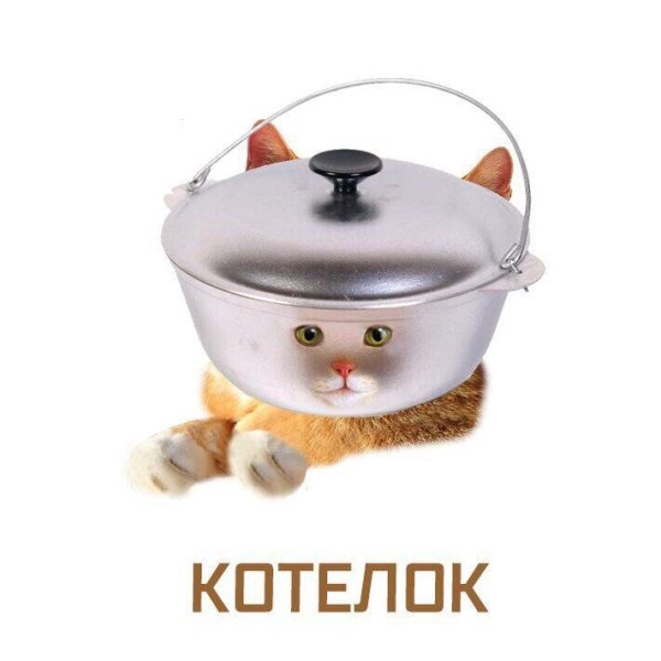  ,      - 7