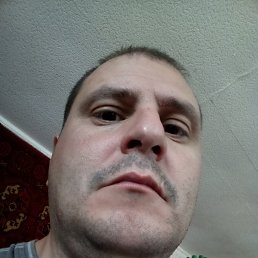 ������, ������, 41 ���