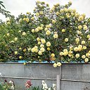 ���� �������, ���������, 61 ��� - ��������� 21 ���� 2019 � ������ ���� ����ۻ