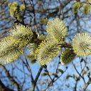 ���� ����� �., �����������, 42 ���� - ��������� 5 ���� 2019 � ������ ������ ��������