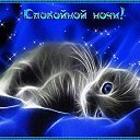 ���� ��������, ������, 56 ��� - ��������� 11 ���� 2019 � ������ ���� ����������