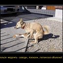 ���� ������� ������, ������, 45 ��� - ��������� 27 �������� 2019 � ������ ������ ��������