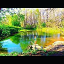 ���� ������ ��������, �������� - ��������� 3 ������� 2019 � ������ ���� ����������