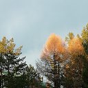 16.10.2019 �� ������� ���� ����������