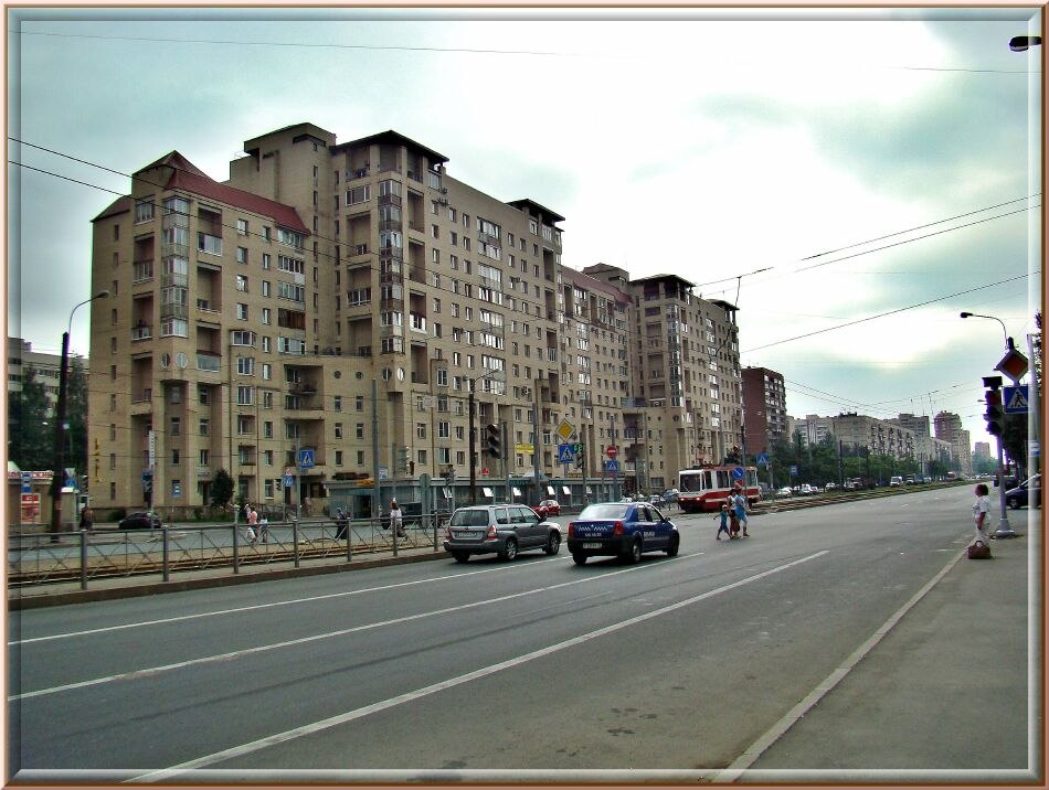 Светлановский проспект. Когда-то в этой местности рос густой и обширный лес. Он простирался от одной ...