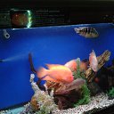 ���� �������, �������, 41 ��� - ��������� 11 ������� 2019 � ������ ���� ����������