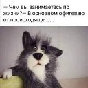 ���� Alekcandr, ������ - ��������� 8 ������� 2019 � ������ ������ ��������