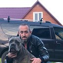 ���� ������, �����, 41 ��� - ��������� 27 �������� 2019