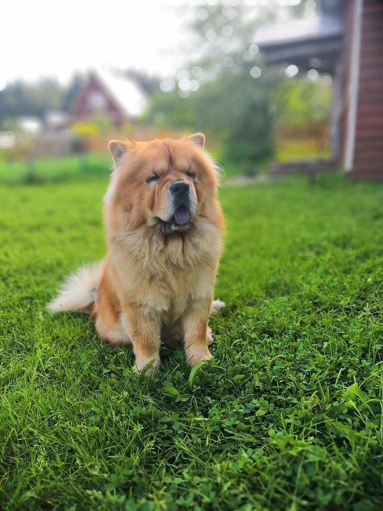 ������ - 10 �������� 2019 � 03:48