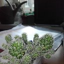 ���� ������ �������������, ������, 53 ���� - ��������� 17 ���� 2019 � ������ �������