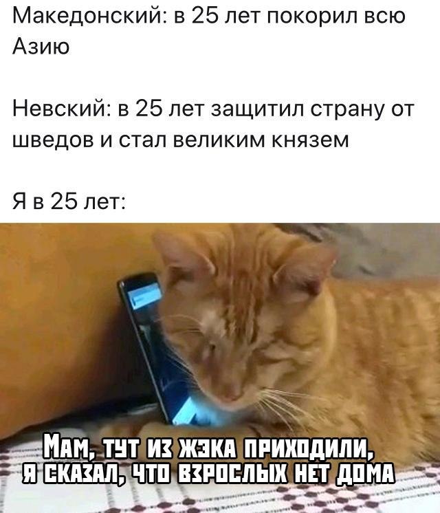 " ר  " - 30  2019  15:37