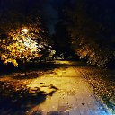 ���� ��������, ������ - ��������� 9 ������� 2019 � ������ ���� ����������