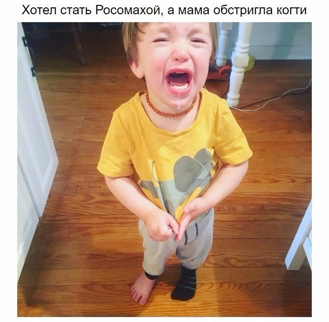 Мне бы такие проблемы