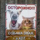 ���� �������, �����, 54 ���� - ��������� 28 ���� 2019 � ������ �������