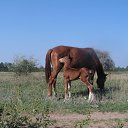 ���� ������, ��������, 58 ��� - ��������� 18 ������� 2019 � ������ �������