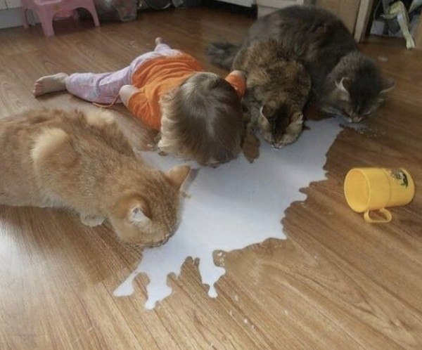      - 3