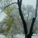 ������ ����. 31.10.2019. �� ������� ���� ����������