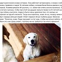 ���� ��������� ��������, ������, 62 ���� - ��������� 8 ������� 2019 � ������ ���� ����������