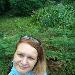 ���� �������, �����������, 49 ��� - ��������� 20 ������� 2019