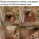 ���� �����, �����-��������� - ��������� 25 �������� 2019 � ������ ������ ��������