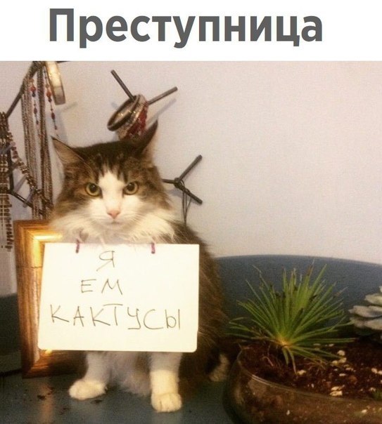    - 1  2019  03:53