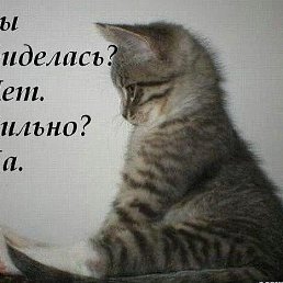 ���� �, �����������, 43 ���� - ��������� 10 ������� 2019